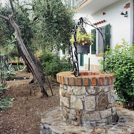 Gli Ulivi Sanremo